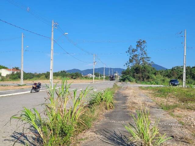 #574 - Terreno para Venda em Florianópolis - SC - 3